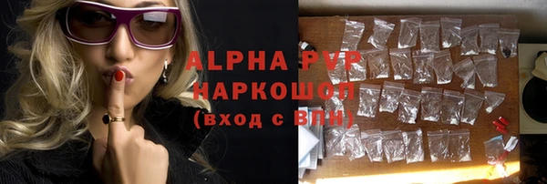 стаф Верея