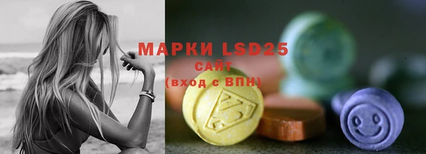 стаф Верея