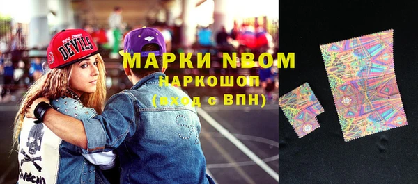 стаф Верея