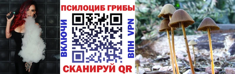 как найти закладки  Каргополь  Галлюциногенные грибы GOLDEN TEACHER 